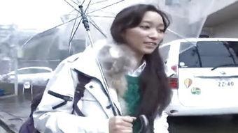 日本情热视频,揭秘日本社会与文化魅力