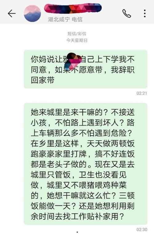 日本网民评论chibi,Chibi文化现象背后的魅力与争议