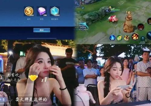 水仙户外直播视频,探寻自然之美，共赴视觉盛宴