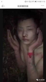 太伏学生视频,青春风采，校园生活剪影