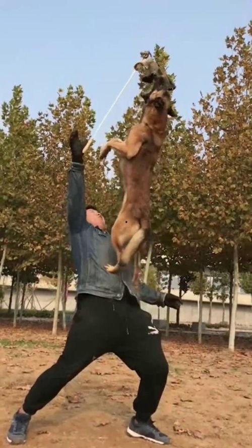 日本上流社会,日本上流社会的奢华生活与礼仪规范揭秘