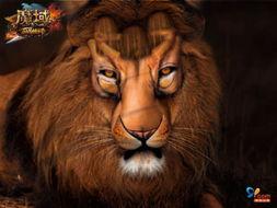 狮子最新爆料,娱乐圈幕后真相大曝光！