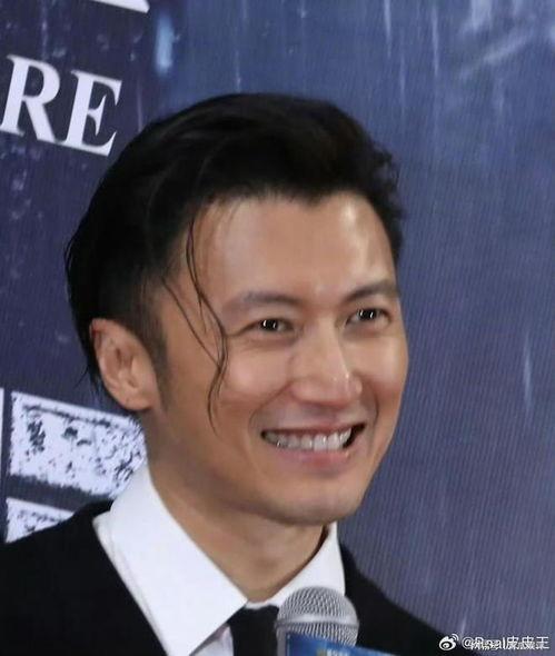 谢霆锋国语版免费观看,重温经典，畅享音乐盛宴