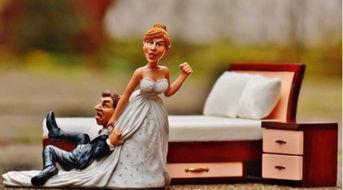 老公昨天出去找公主,老公的浪漫冒险记