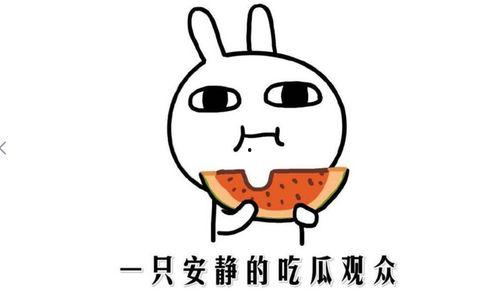 吃瓜视频是什么意思