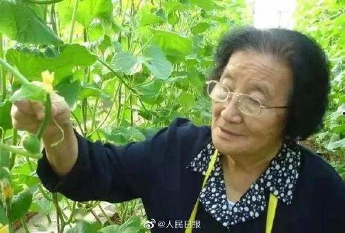 娱乐吃瓜酱广东人辣度,辣度惊人，吃瓜成风